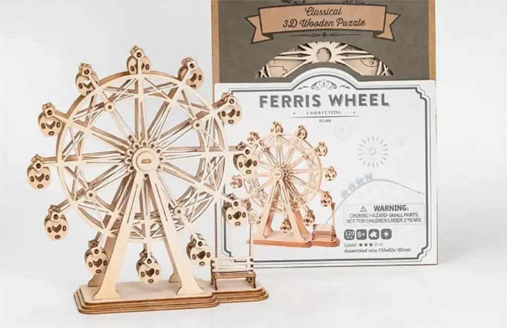 Ferris Wheel 20