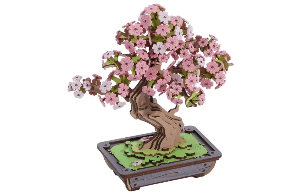 Sakura Bonsai 12