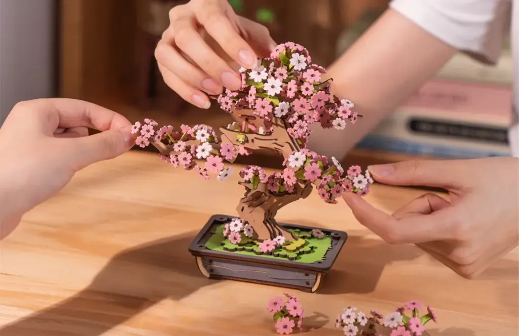 Sakura Bonsai 14