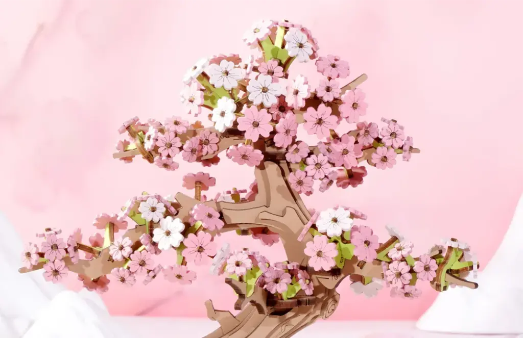 Sakura Bonsai 16
