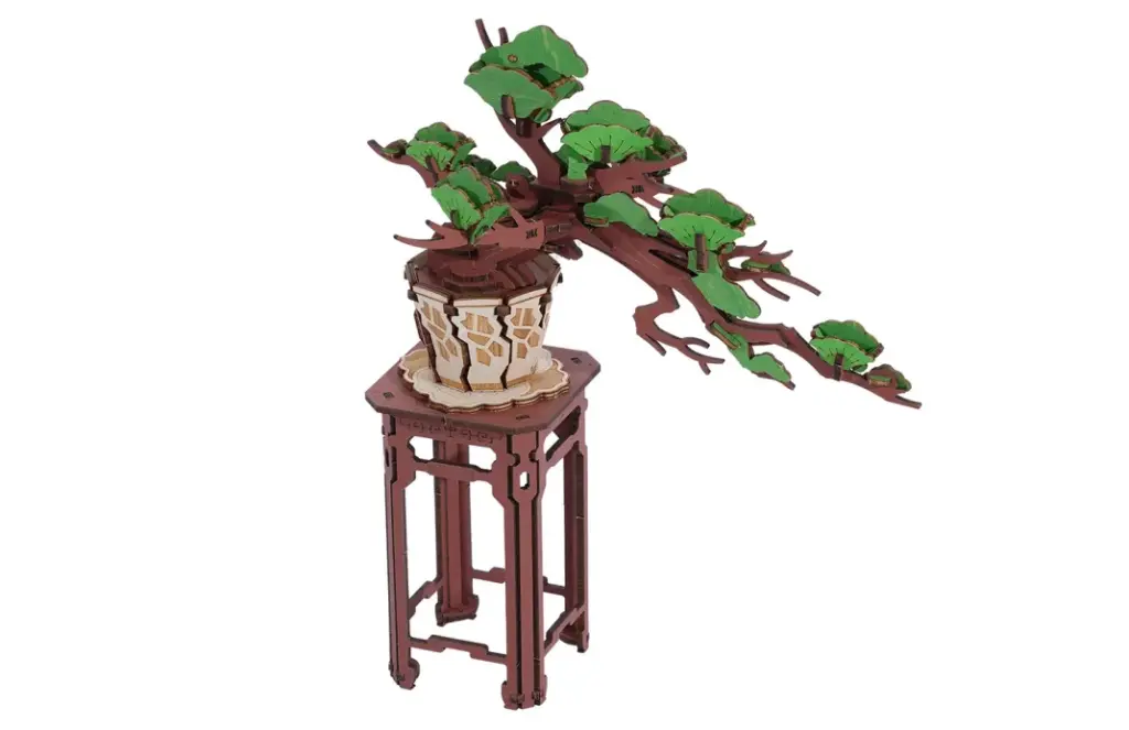 Evergreen Pine Bonsai 12