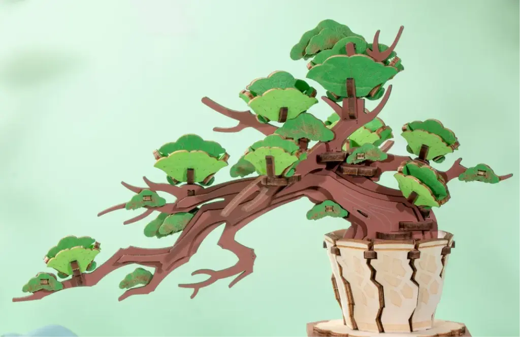Evergreen Pine Bonsai 16