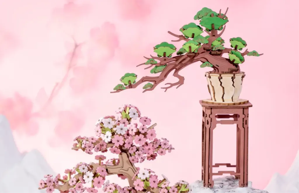 Evergreen Pine Bonsai 18
