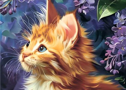 Ginger Kitten 30x40cm 12