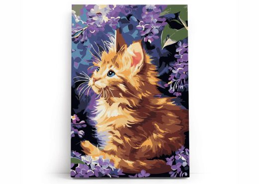 Ginger Kitten 30x40cm 14